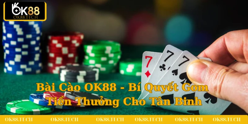 bài cào ok88
