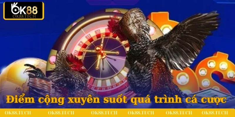 Đá Gà OK88 2 Điểm cộng được hội viên nhận xét xuyên suốt quá trình cá cược