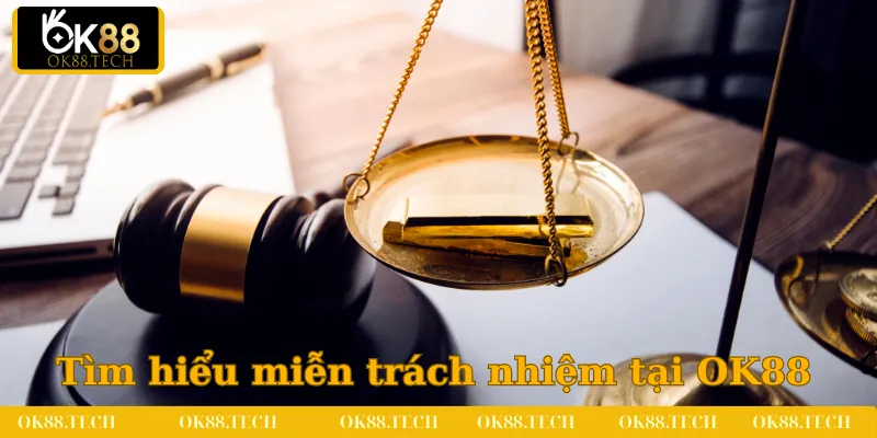 Miễn Trừ Trách Nhiệm 1 Tìm hiểu đôi nét về quy định miễn trách nhiệm tại OK88
