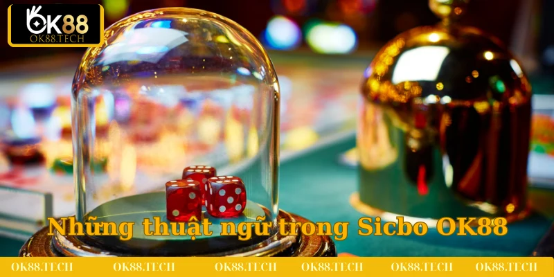 Chia sẻ đầy đủ thuật ngữ có trong Sicbo OK88